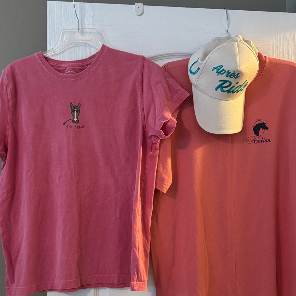 🐴Horse/Equestrian/Arabian Bundle🐴